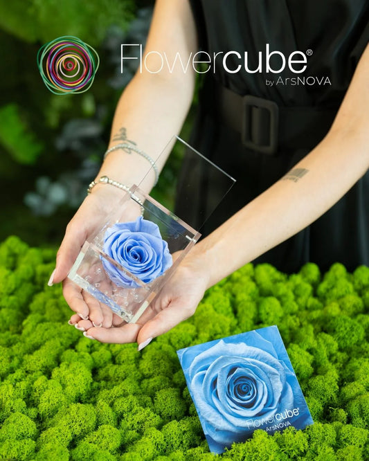Flowercube Rosa + Packaging - Azzurro