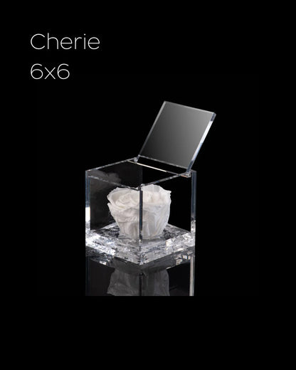 Flowercube Rosa + Packaging - Bianco