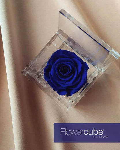 Flowercube Rosa + Packaging - Blu