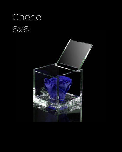 Flowercube Rosa + Packaging - Blu