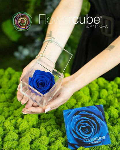 Flowercube Rosa + Packaging - Blu