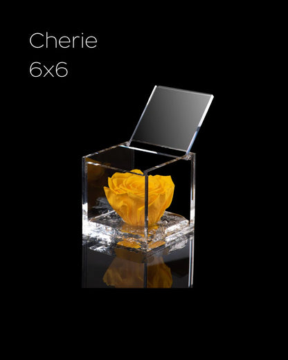 Flowercube Rosa + Packaging - Giallo