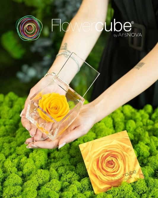 Flowercube Rosa + Packaging - Giallo