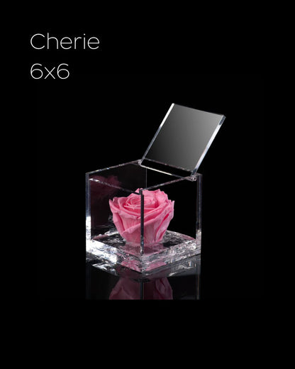 Flowercube Rosa + Packaging - Rosa