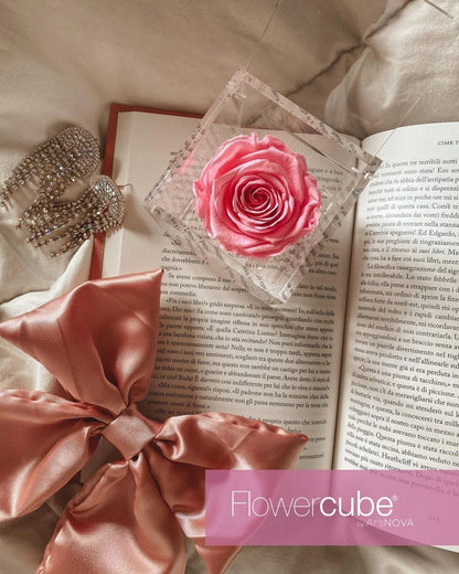Flowercube Rosa + Packaging - Rosa