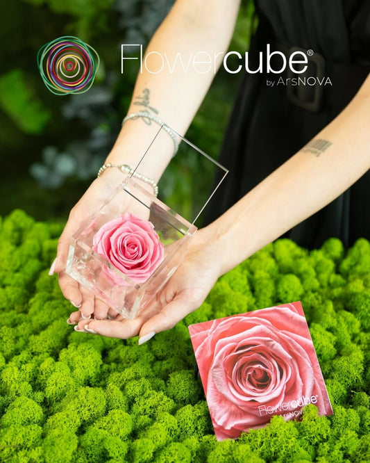 Flowercube Rosa + Packaging - Rosa