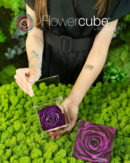 Flowercube Rosa + Packaging - Viola