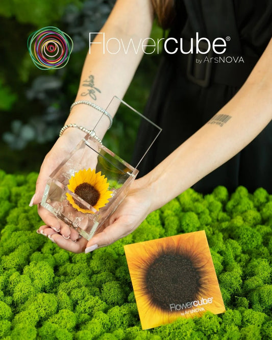 Flowercube Special Ed. Girasole + Packaging
