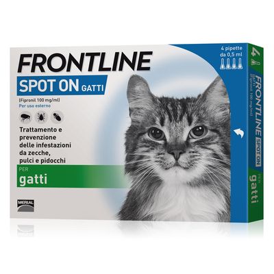 Frontline Combo Spot-On Gatti