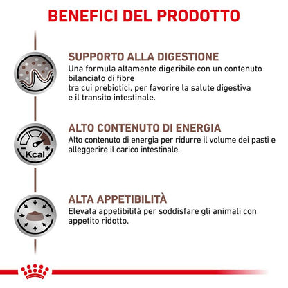 Royal Canin V-Diet Gastro Intestinal
