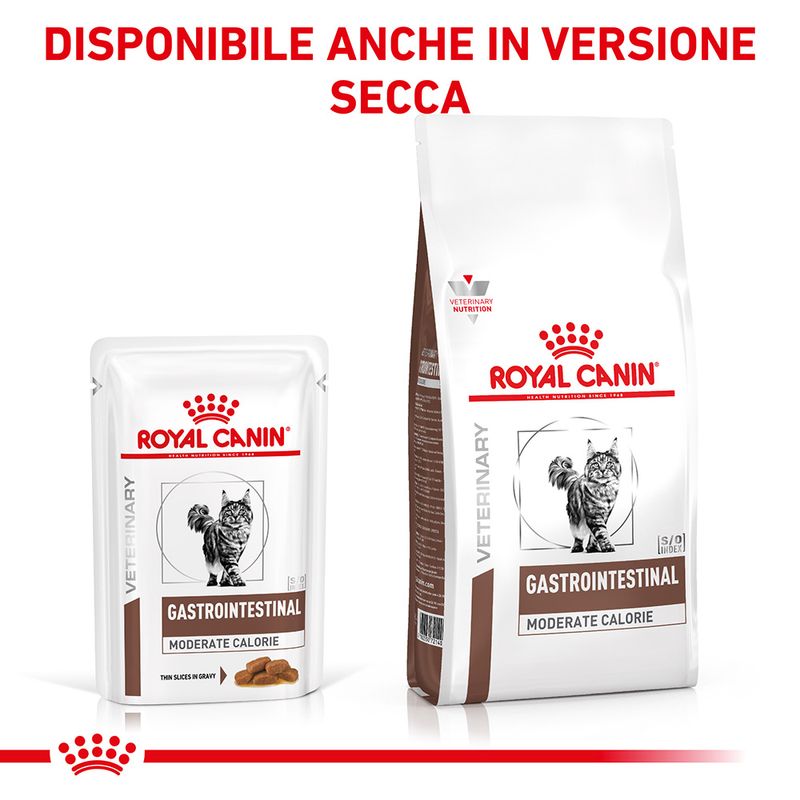Royal Canin V-Diet Cat Gastro Intestinal Moderate Calorie