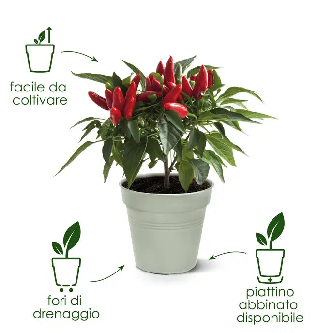 Green Basics Growpot Living Nero