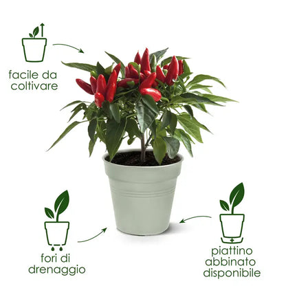 Green Basics Growpot Living Nero