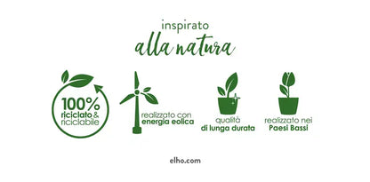 Green Basics Orchid Trasparente