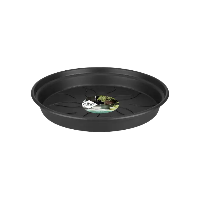 Green Basics Saucer Living Nero