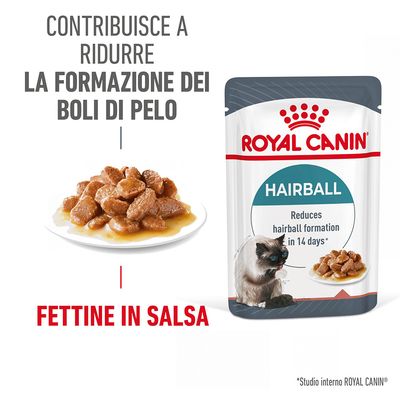 Royal Canin Hairball Care