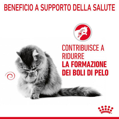 Royal Canin Hairball Care