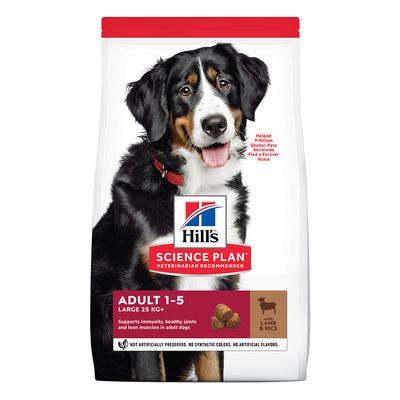 Hill'S Science Plan Adult Large Breeds Agnello e Riso