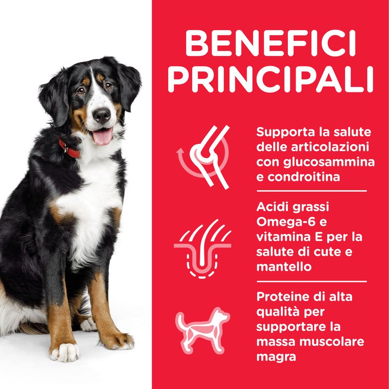 Hill'S Science Plan Adult Large Breeds Agnello e Riso