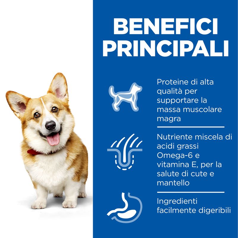 Hill'S Science Plan Adult Small&Mini Agnello e Riso