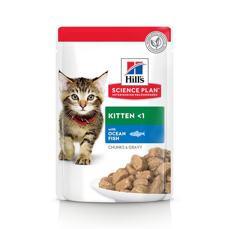 Hill'S Science Plan Kitten Pesce