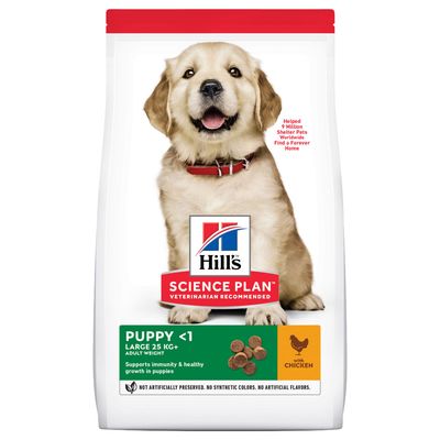 Hill'S Science Plan Puppy Large Breeds Pollo