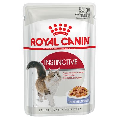 Royal Canin Instinctive In Gelatina