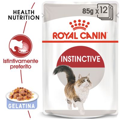 Royal Canin Instinctive In Gelatina