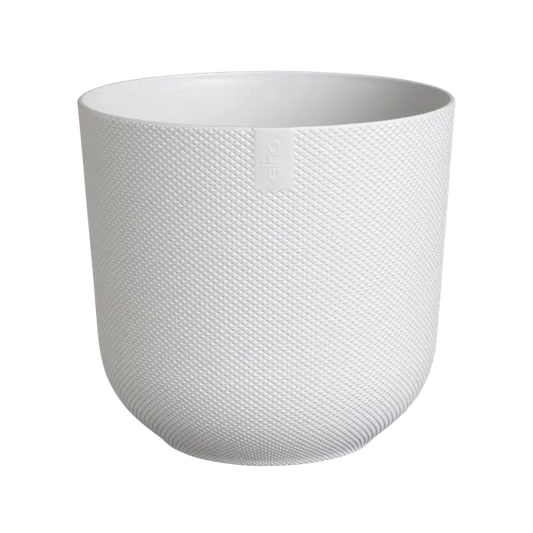 Jazz Round Silky White