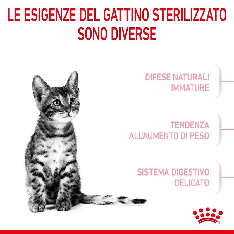 Royal Canin Kitten Sterilised