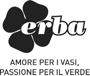 carousel logo 11