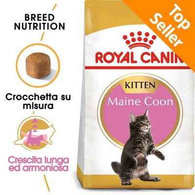 Royal Canin Kitten Maine Coon