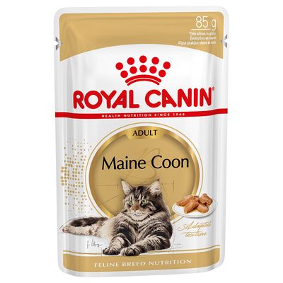 Royal Canin Maine Coon