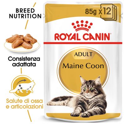 Royal Canin Maine Coon