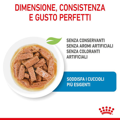 Royal Canin Maxi Puppy