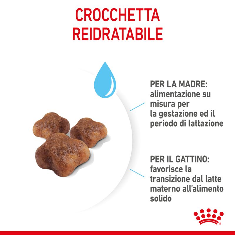 Royal Canin Babycat