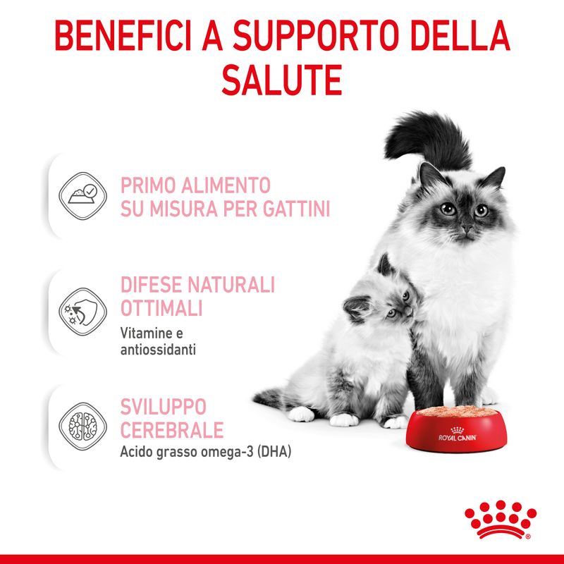 Royal Canin Babycat