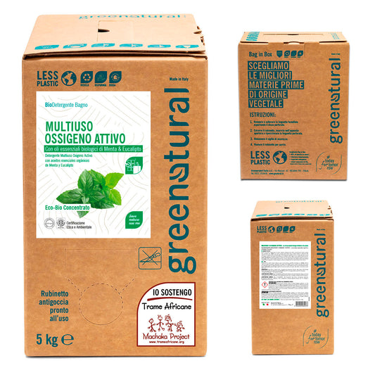 GN Multiuso Ossigeno Attivo Menta & Eucalipto - eco - Ricarica