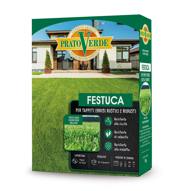 Semente Festuca Arundinacea 5kg