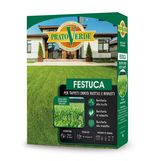 Semente Festuca Arundinacea 5kg