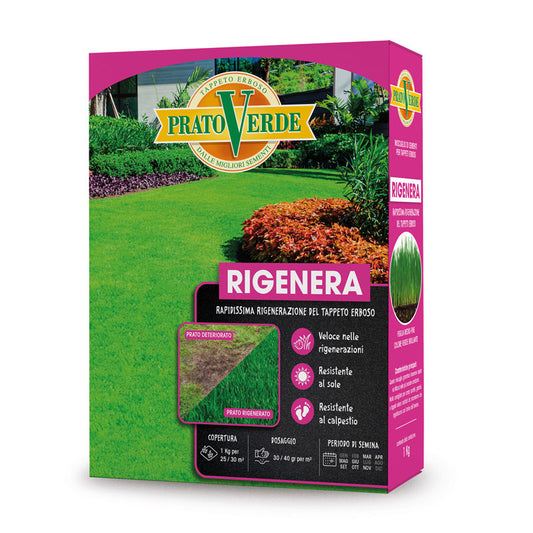 Semente Prato Rigenera 1kg