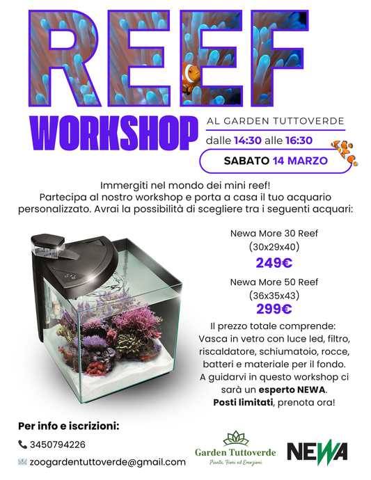 Reef Workshop