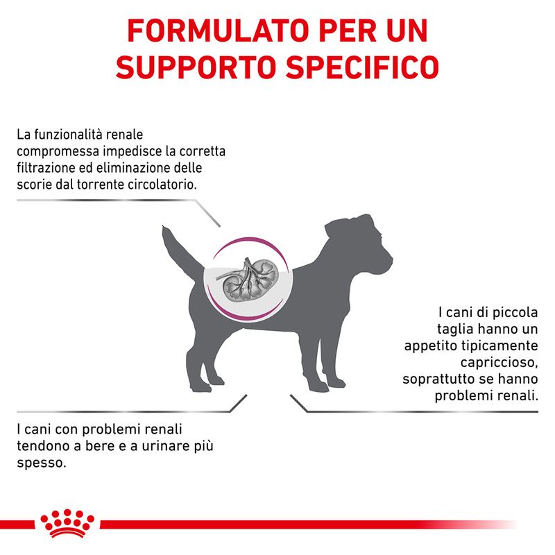 Royal Canin Renal Small
