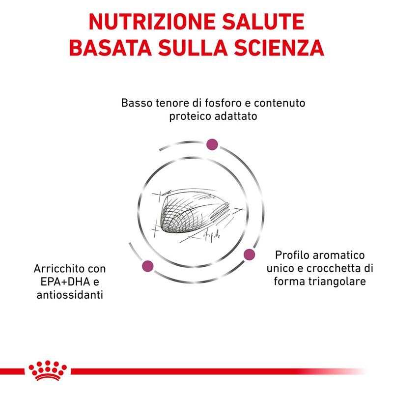 Royal Canin V-Diet Renal Special