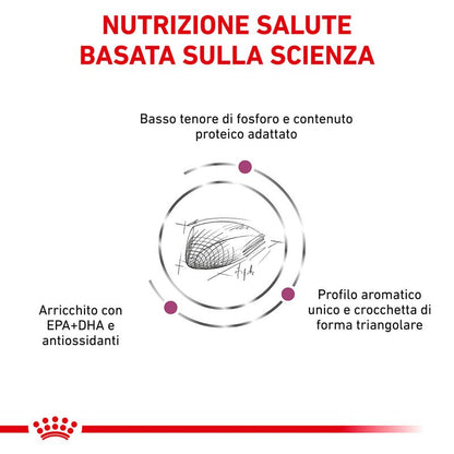 Royal Canin V-Diet Renal Special