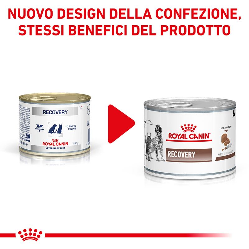 Royal Canin Recovery