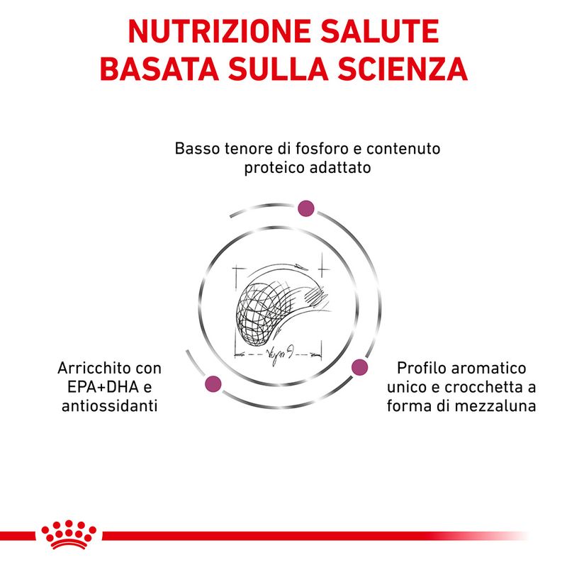Royal Canin V-Diet Renal Select