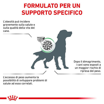 Royal Canin V-Diet Satiety