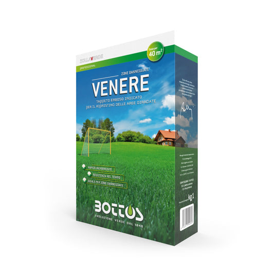 Seme Venere 1 Kg