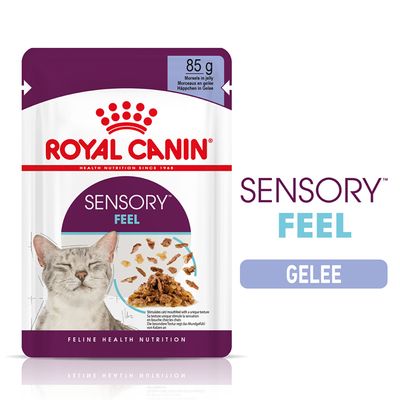 Royal Canin Sensory Feel In Gelatina
